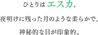 ひとりはエスカ、夜明けに残った月のような柔らかで、神秘的な目が印象的。